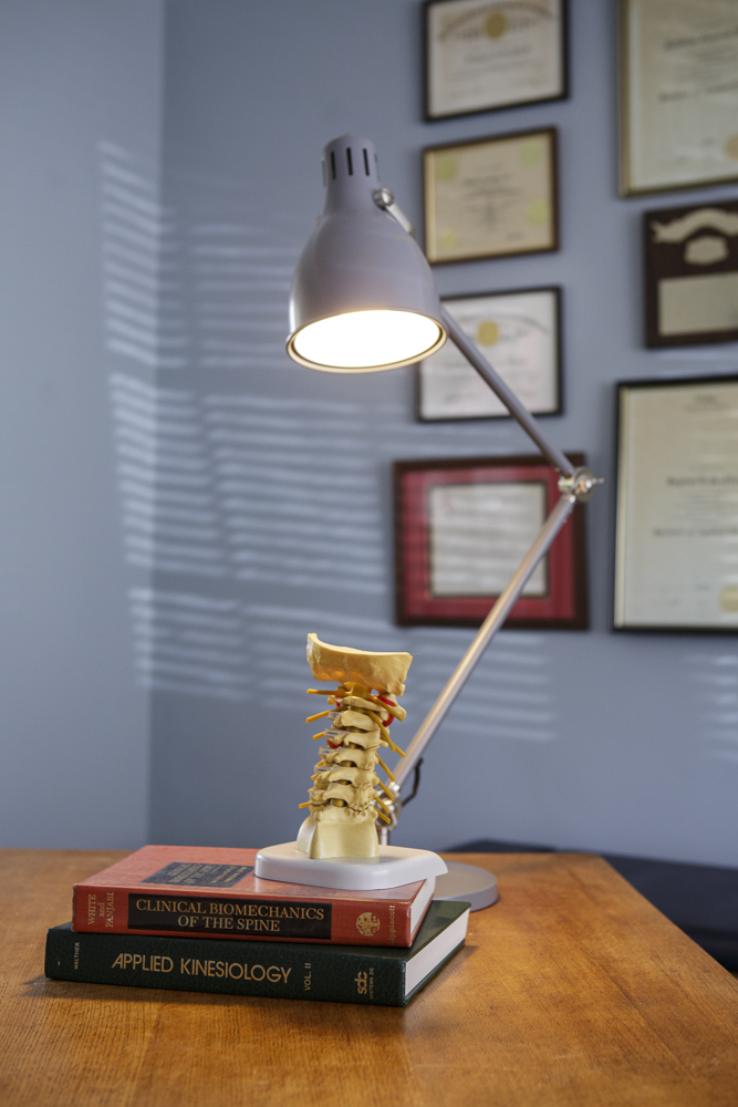 A model of the spine